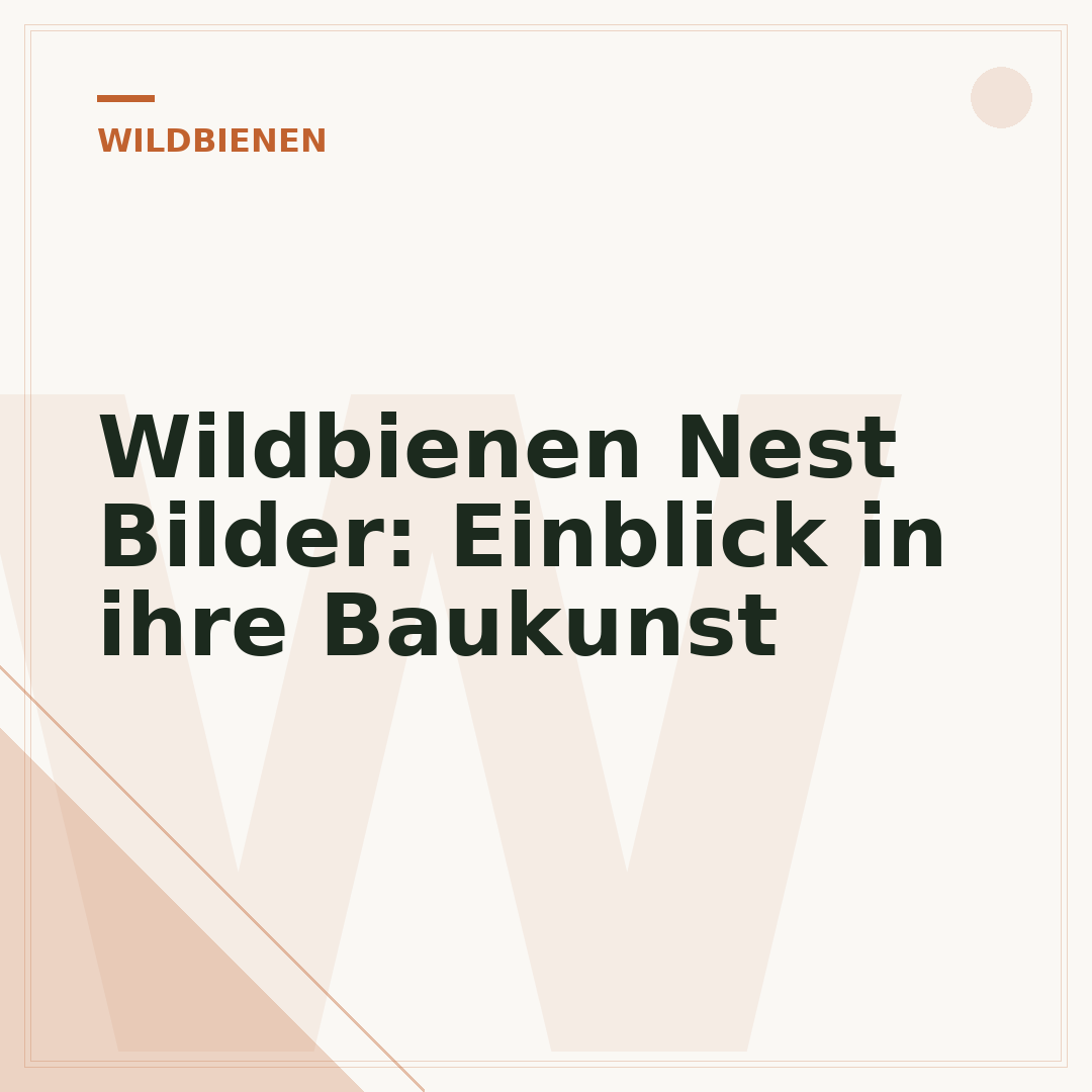 Wildbienen Nest Bilder: Einblick in ihre Baukunst