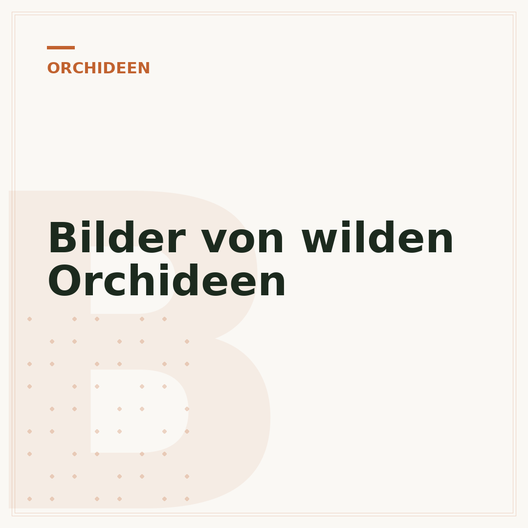 Bilder von wilden Orchideen