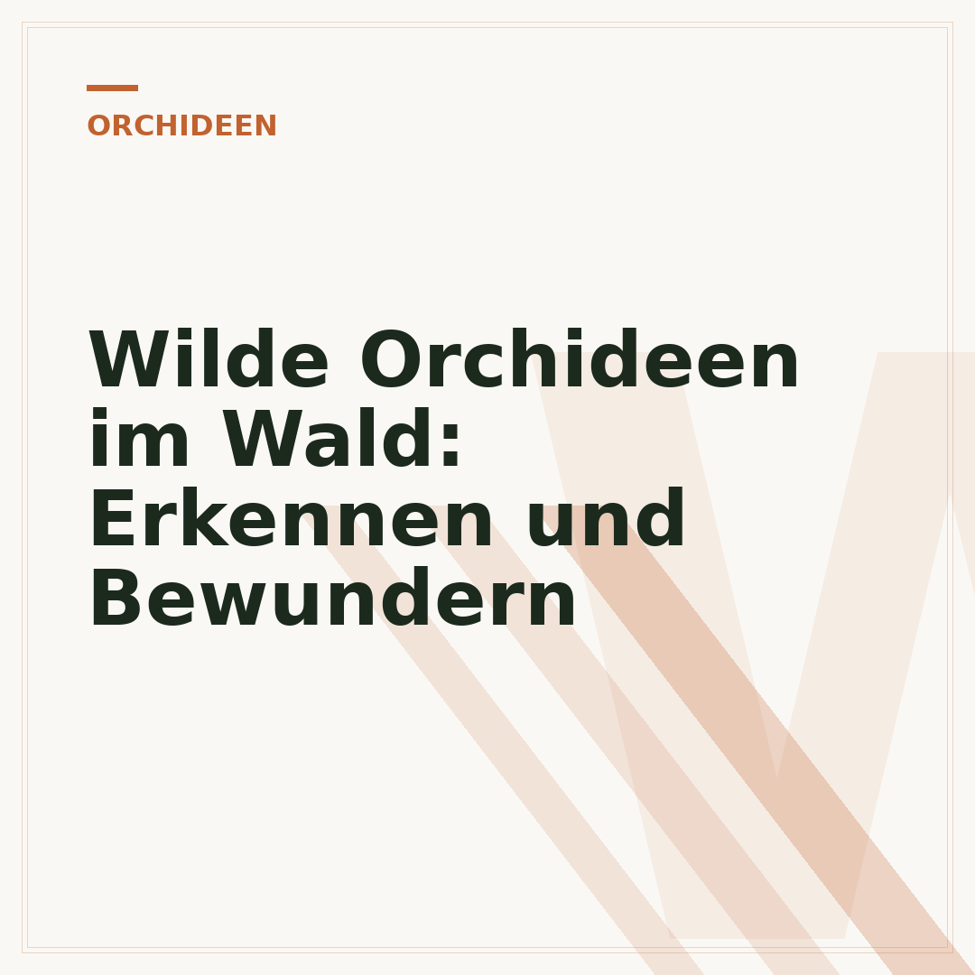 Wilde Orchideen im Wald: Erkennen und Bewundern