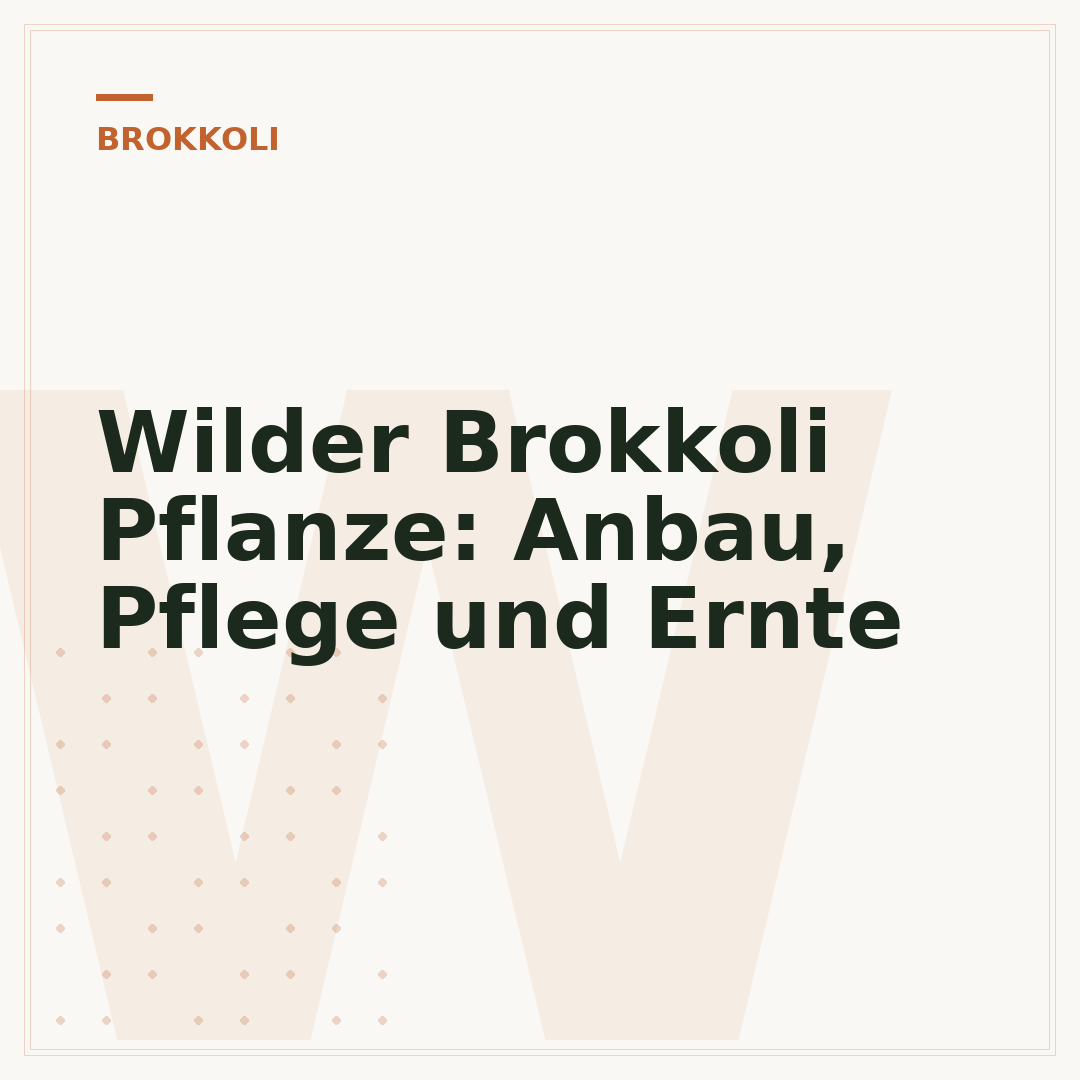 Wilder Brokkoli Pflanze: Anbau, Pflege und Ernte