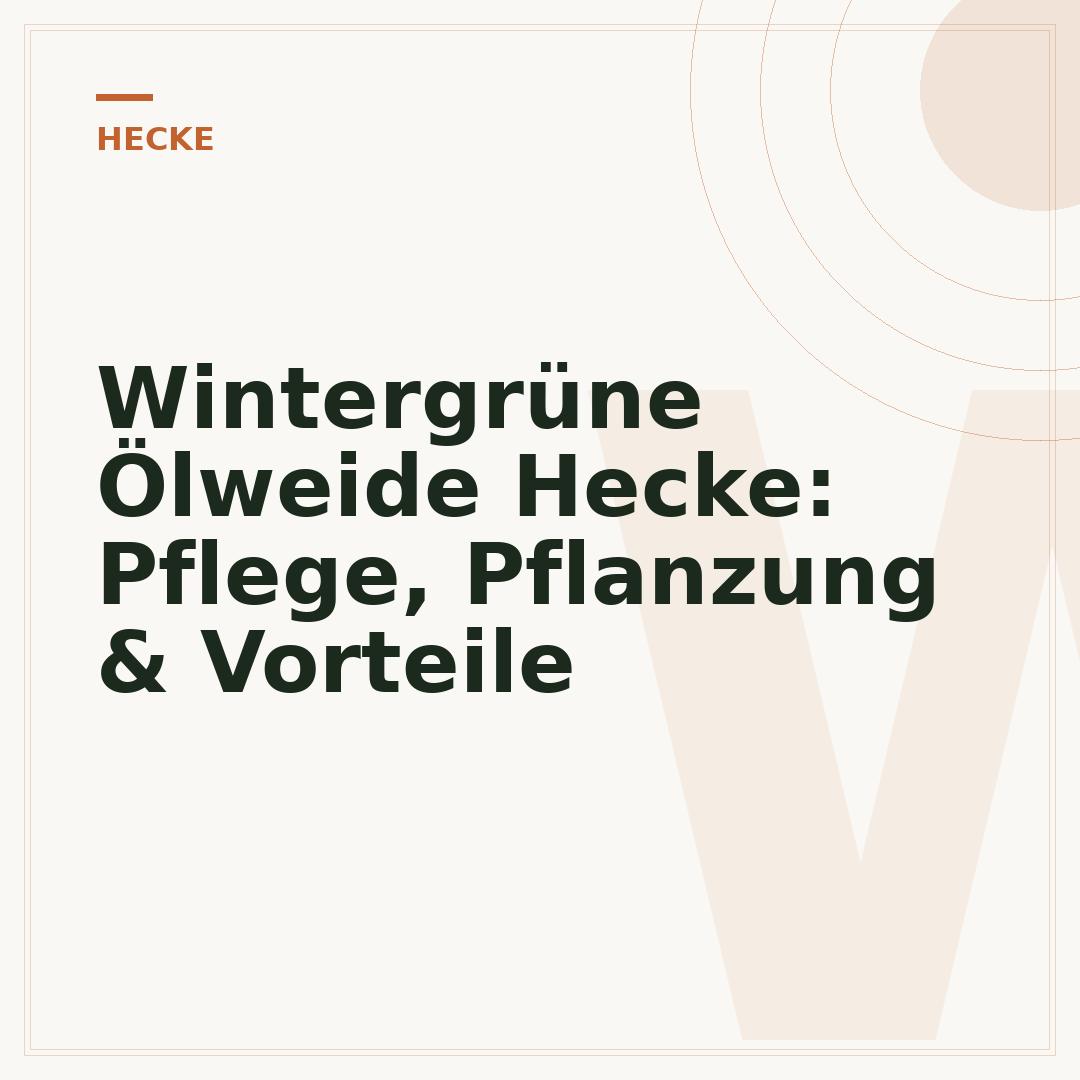 Wintergrüne Ölweide Hecke: Pflege, Pflanzung & Vorteile