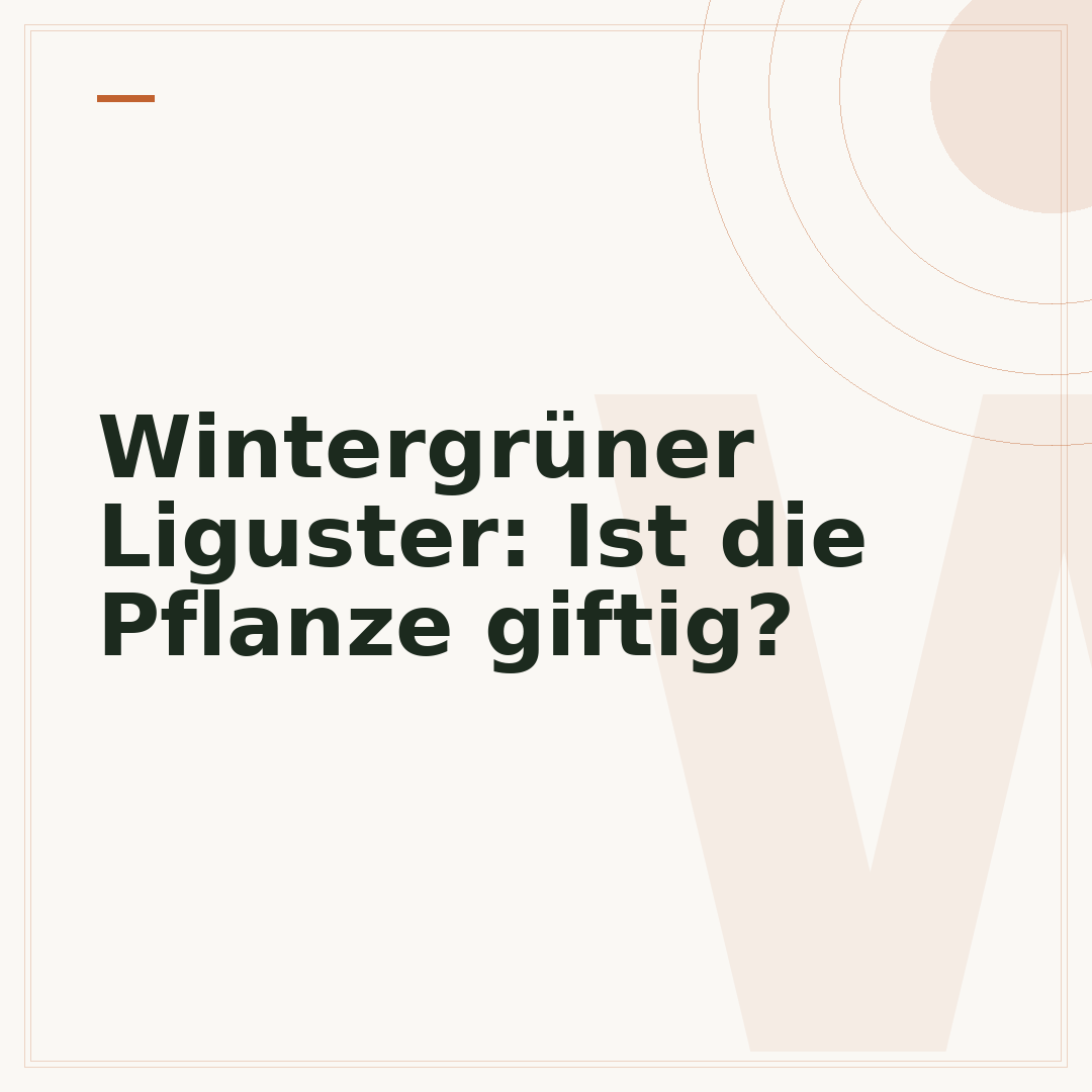 Wintergrüner Liguster: Ist die Pflanze giftig?