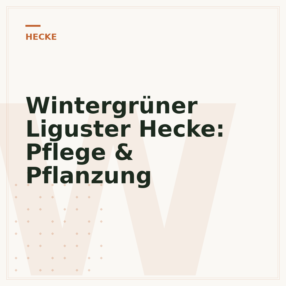 Wintergrüner Liguster Hecke: Pflege & Pflanzung