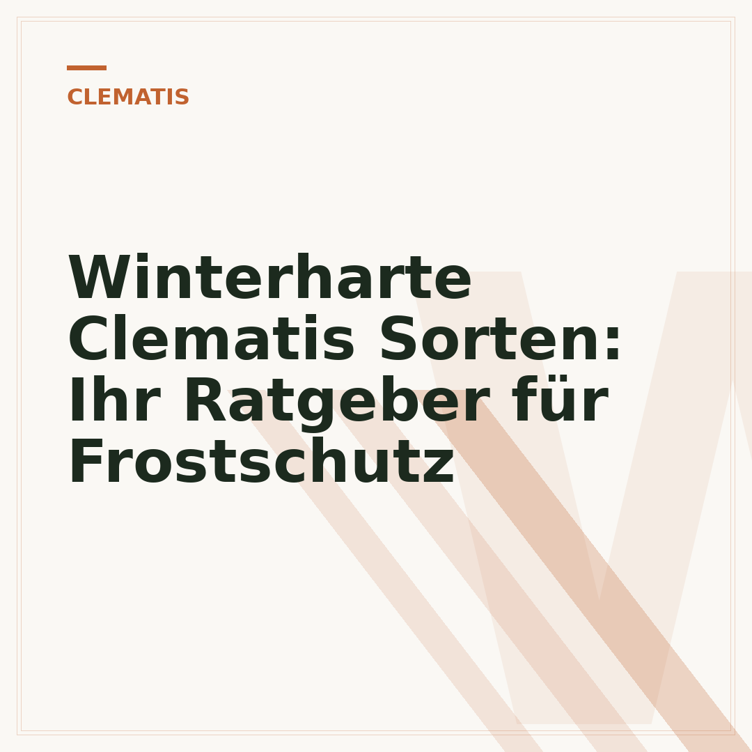 Winterharte Clematis Sorten: Ihr Ratgeber für Frostschutz