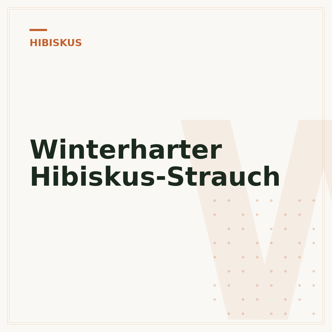 Winterharter Hibiskus-Strauch