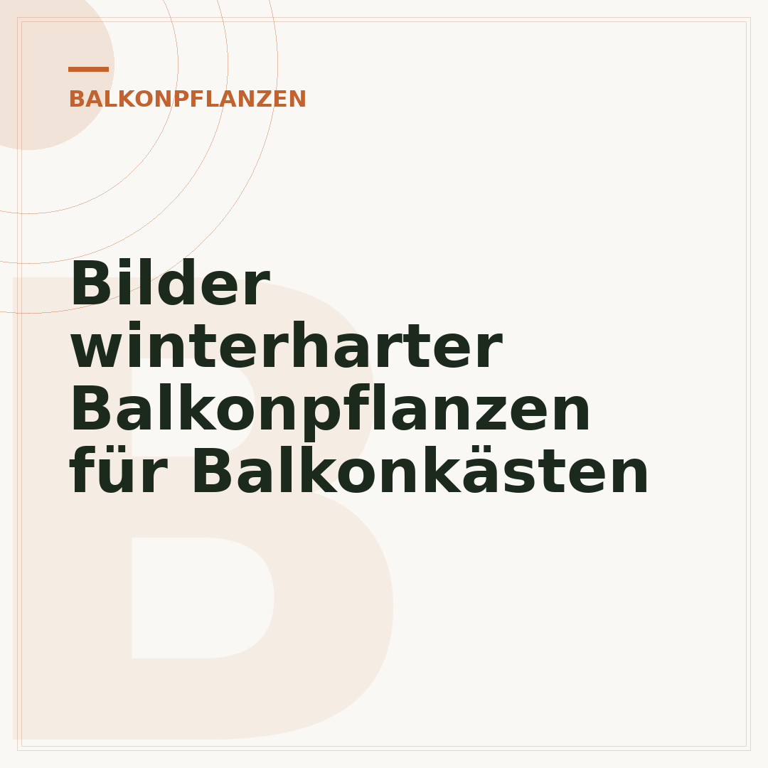 Bilder winterharter Balkonpflanzen für Balkonkästen