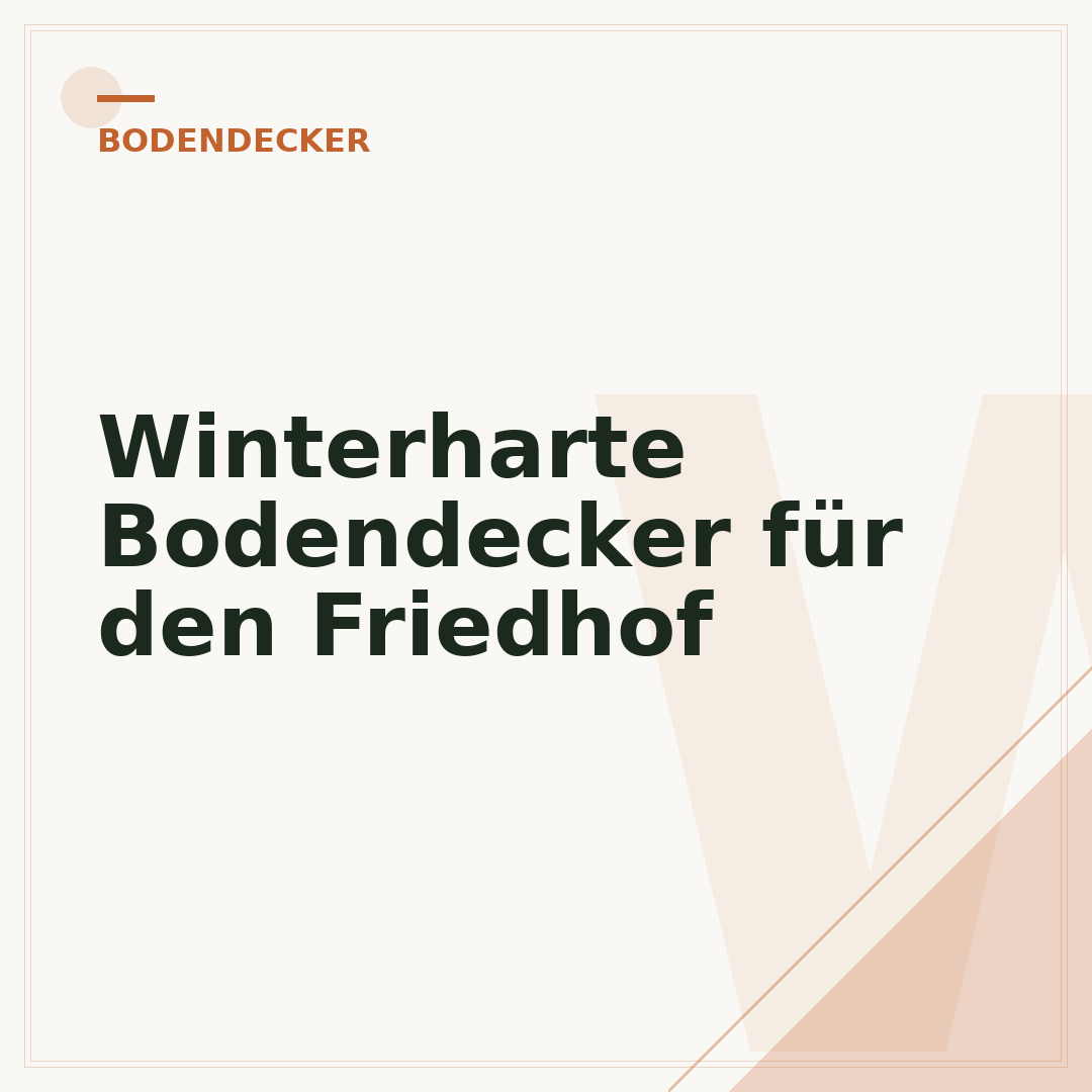 Winterharte Bodendecker für den Friedhof