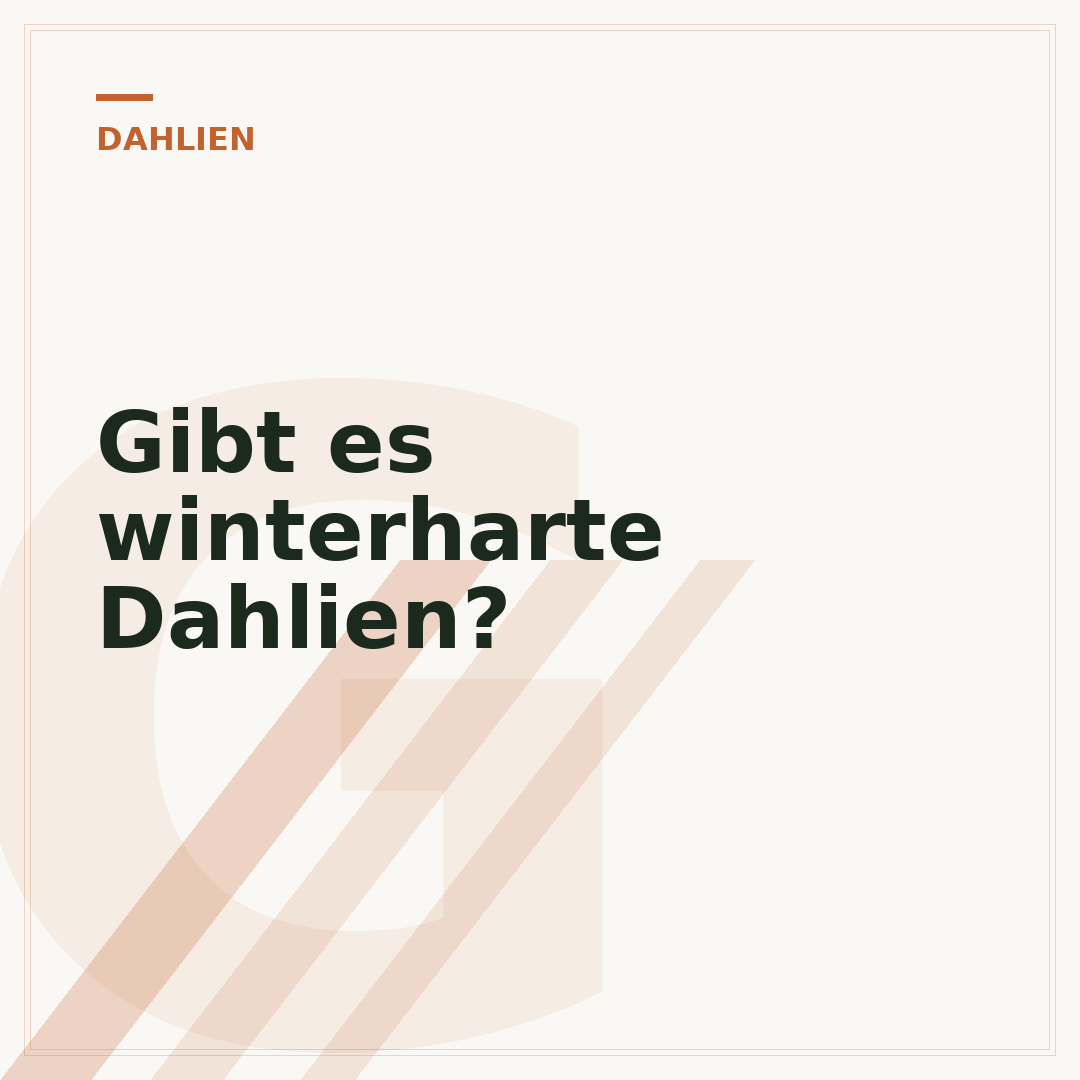 Gibt es winterharte Dahlien?