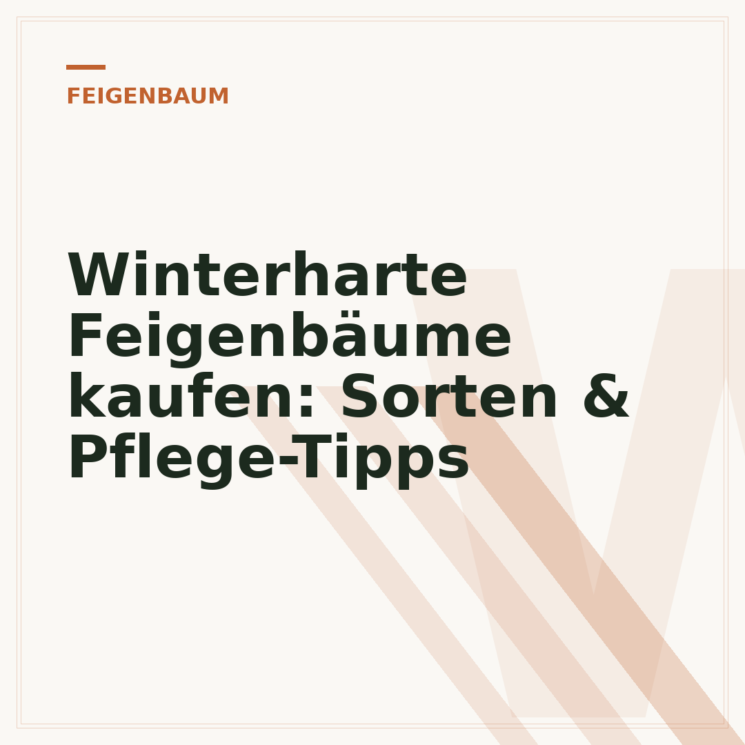 Winterharte Feigenbäume kaufen: Sorten & Pflege-Tipps