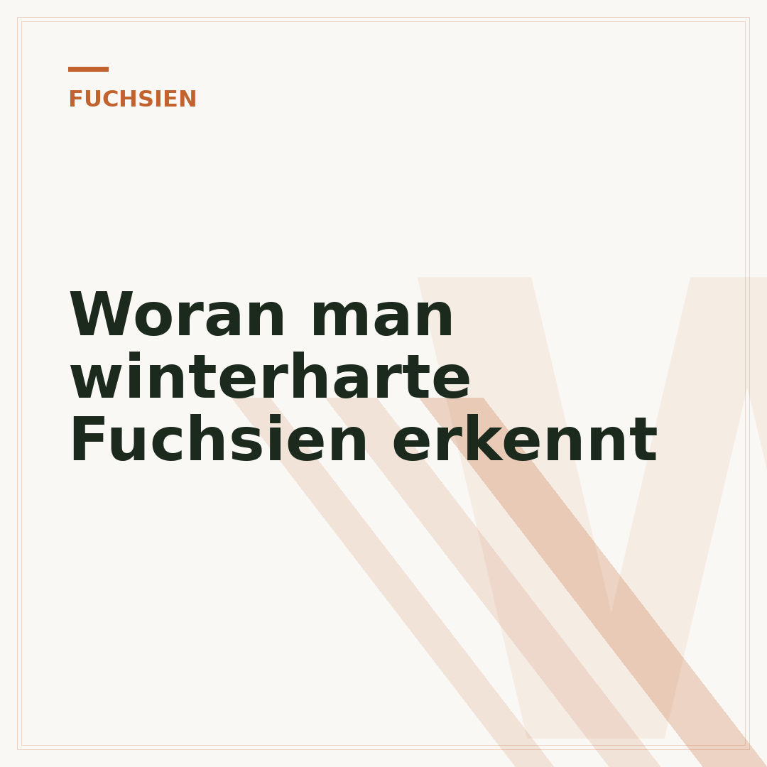 Woran man winterharte Fuchsien erkennt