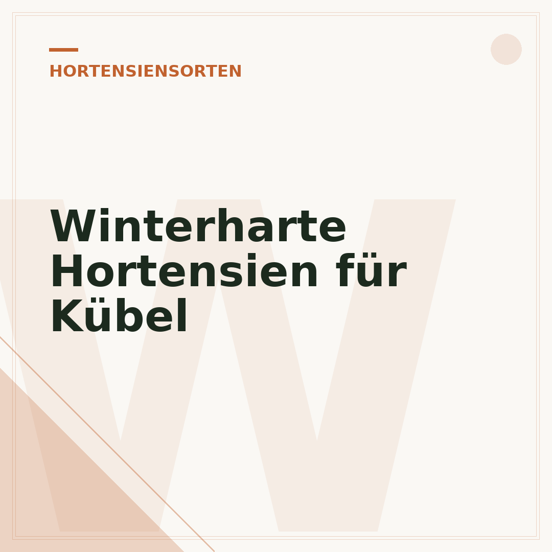 Winterharte Hortensien für Kübel