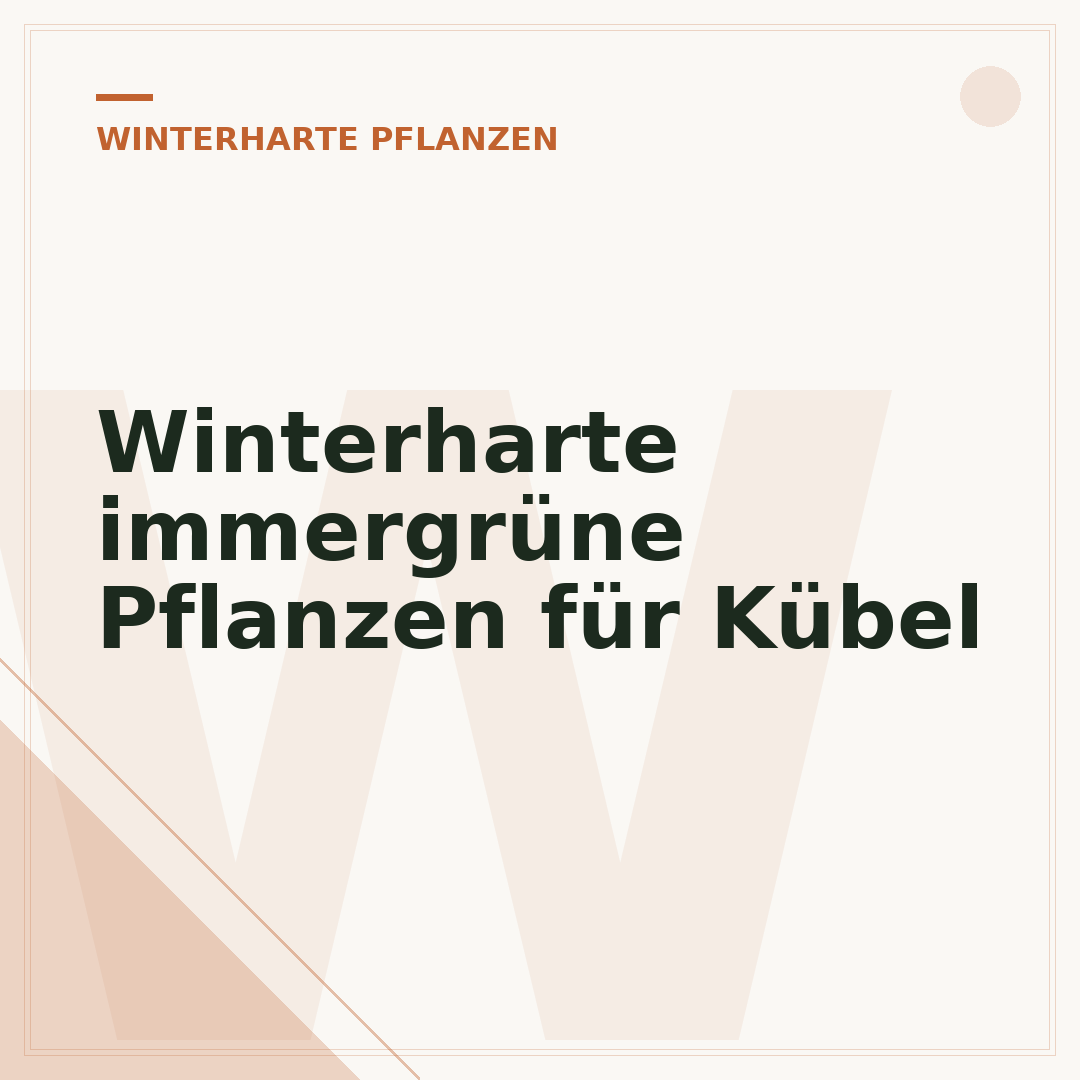 Winterharte immergrüne Pflanzen für Kübel
