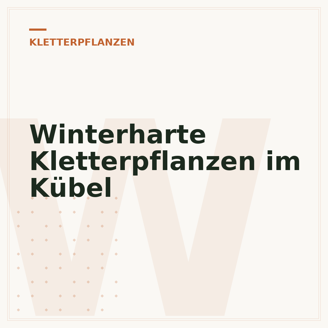 Winterharte Kletterpflanzen im Kübel