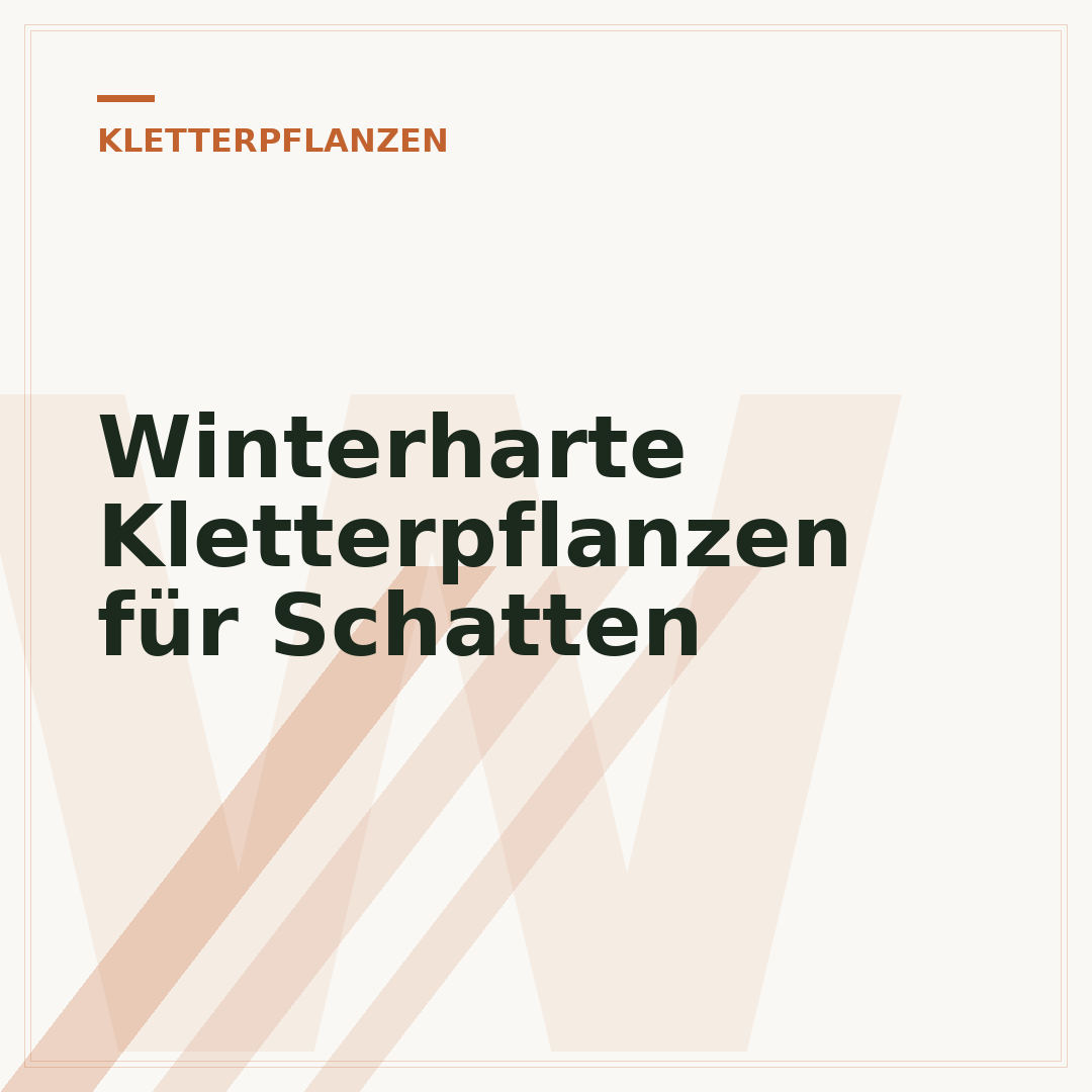 Winterharte Kletterpflanzen für Schatten