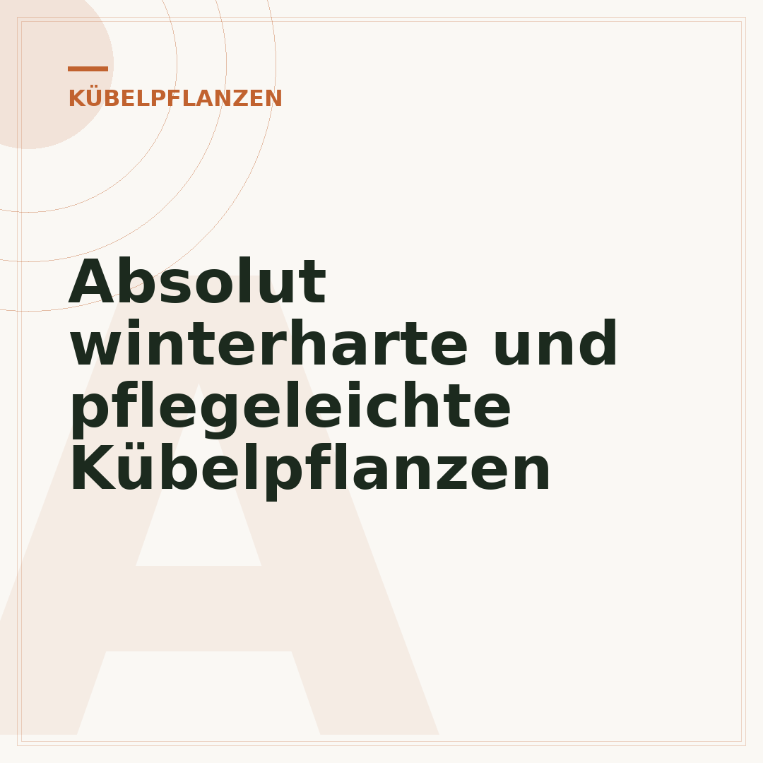 Absolut winterharte und pflegeleichte Kübelpflanzen