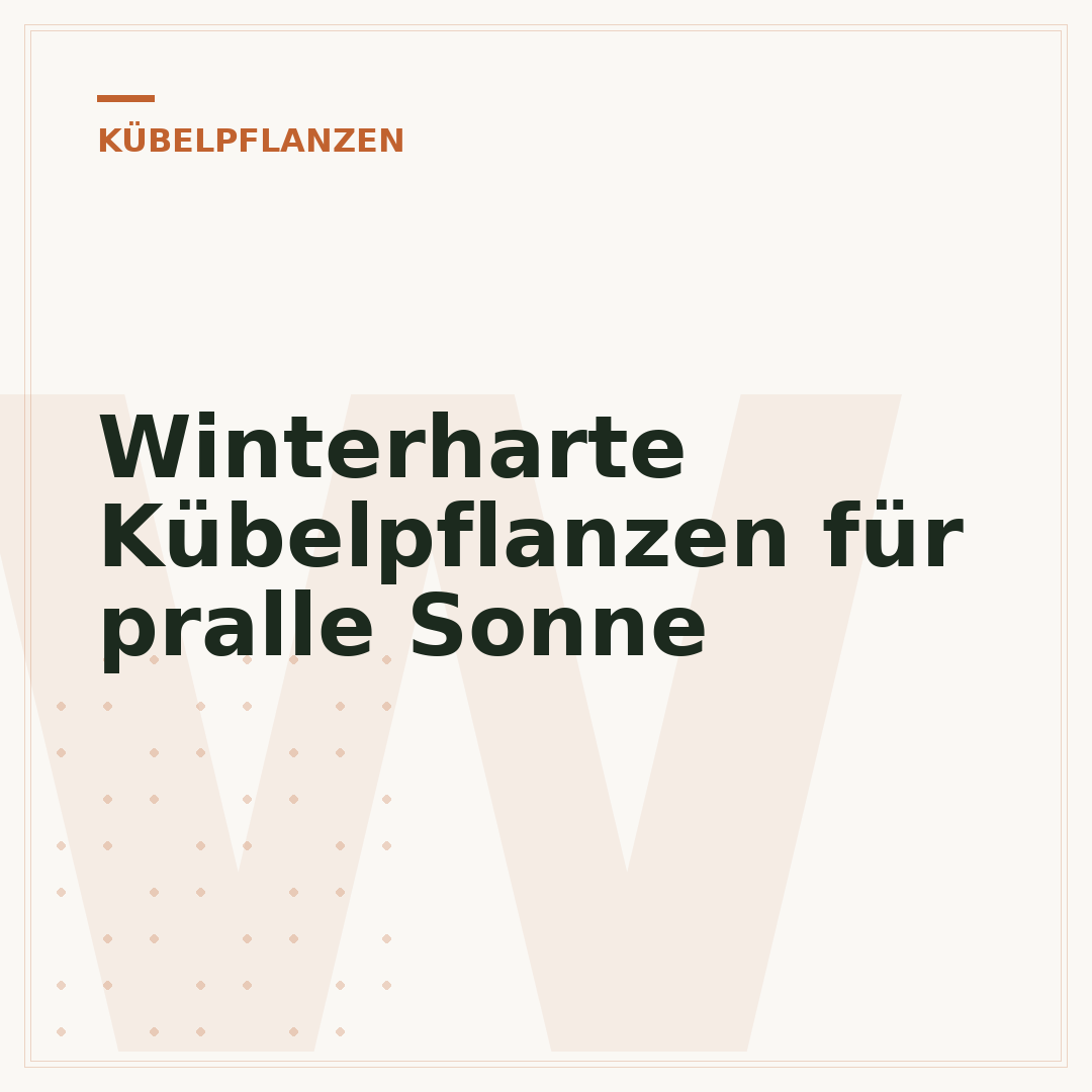 Winterharte Kübelpflanzen für pralle Sonne