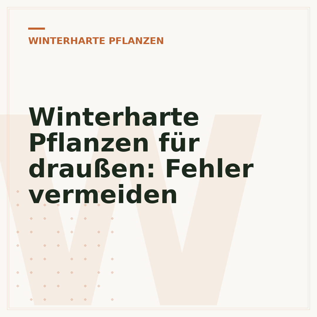 Winterharte Pflanzen für draußen: Fehler vermeiden