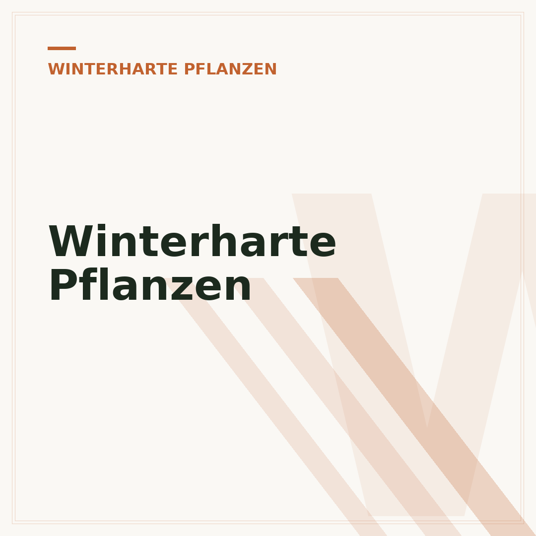 Winterharte Pflanzen