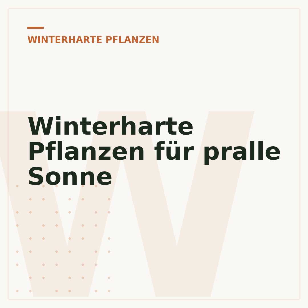 Winterharte Pflanzen für pralle Sonne