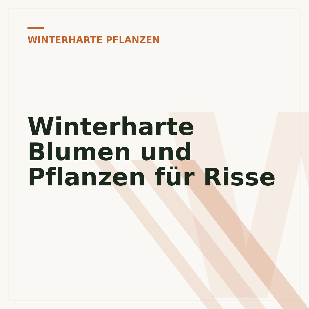 Winterharte Blumen und Pflanzen für Risse