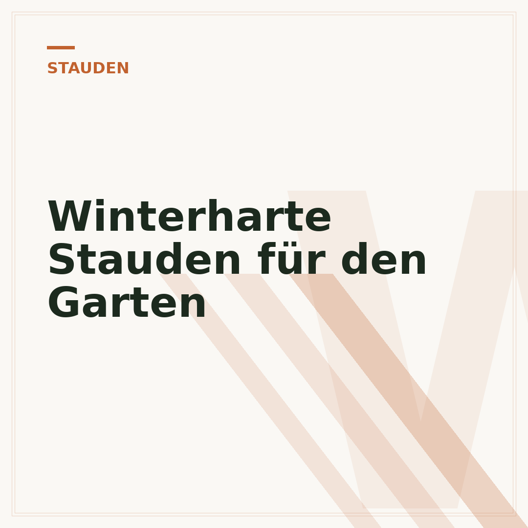 Winterharte Stauden für den Garten
