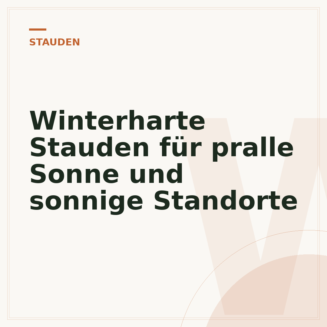Winterharte Stauden für pralle Sonne und sonnige Standorte