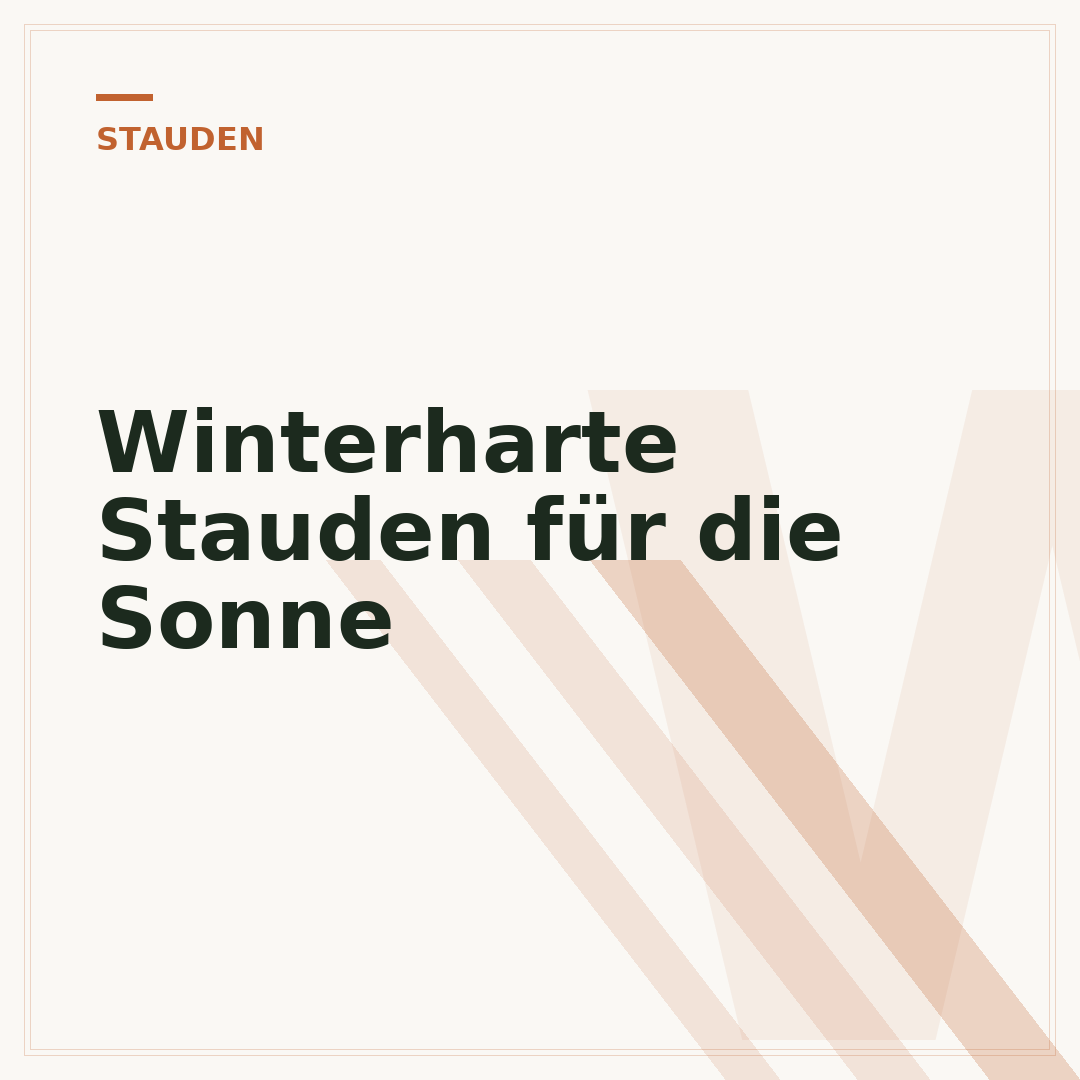 Winterharte Stauden für die Sonne