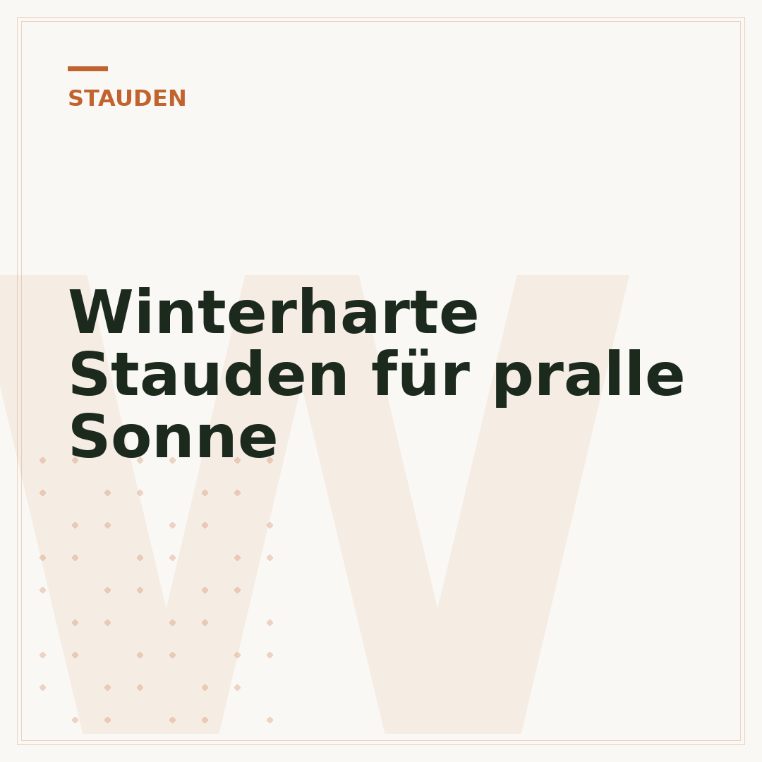 Winterharte Stauden für pralle Sonne