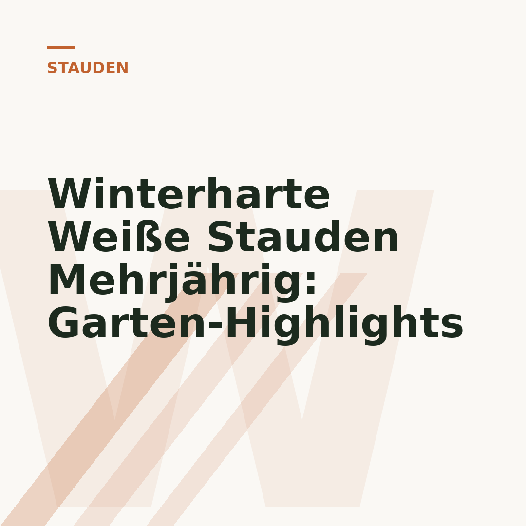 Winterharte Weiße Stauden Mehrjährig: Garten-Highlights