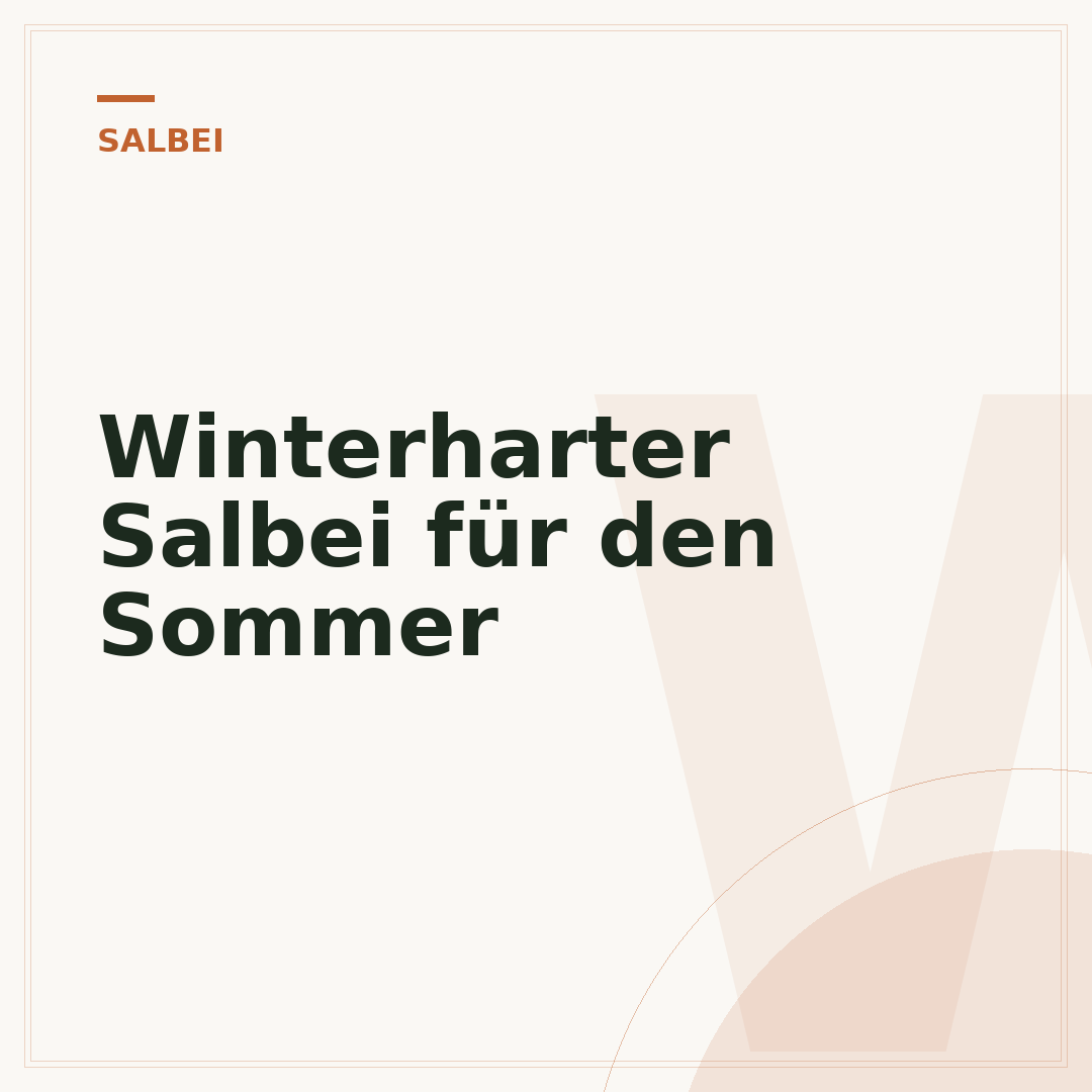 Winterharter Salbei für den Sommer
