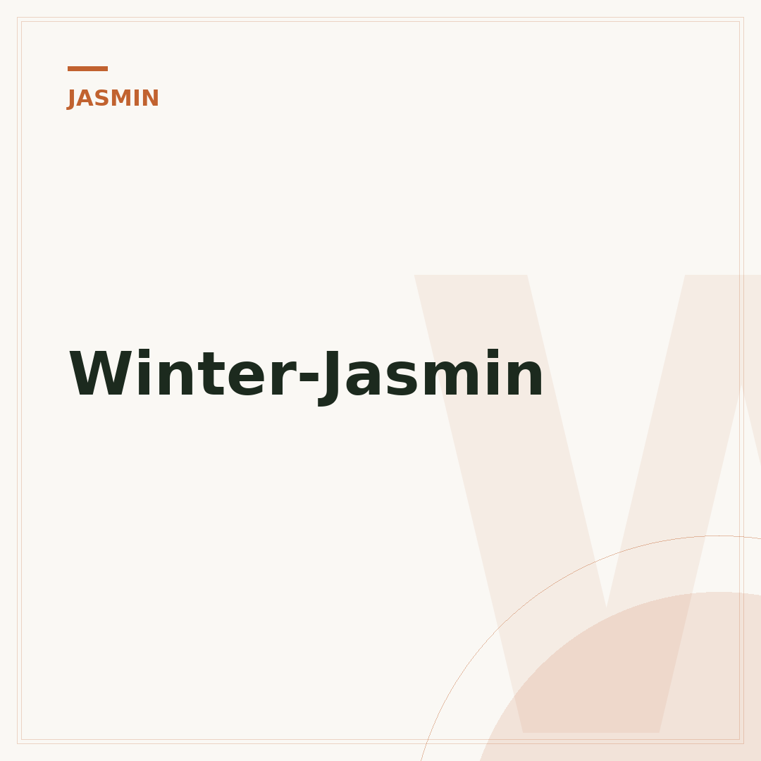 Winter-Jasmin
