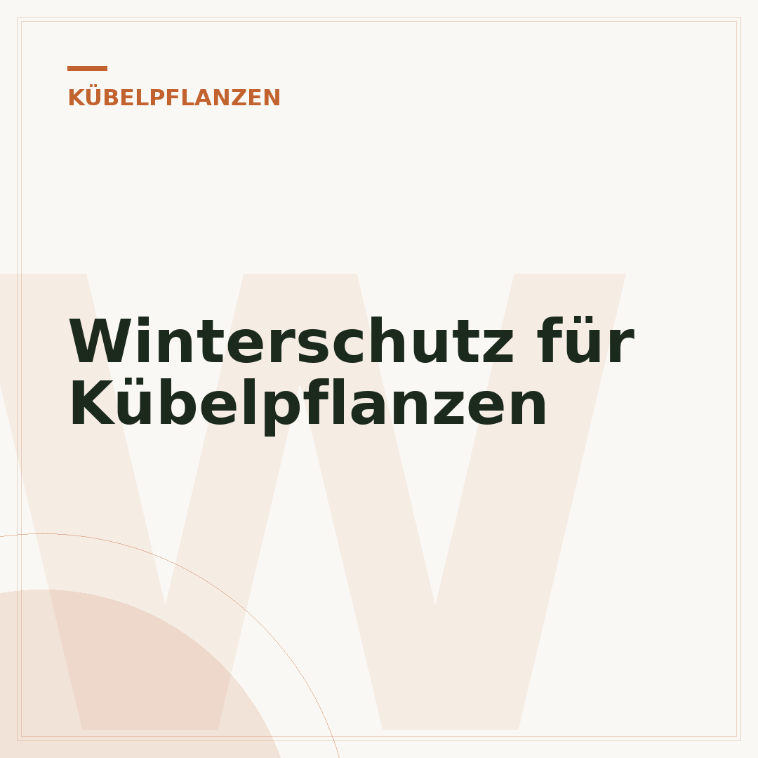 Winterschutz für Kübelpflanzen