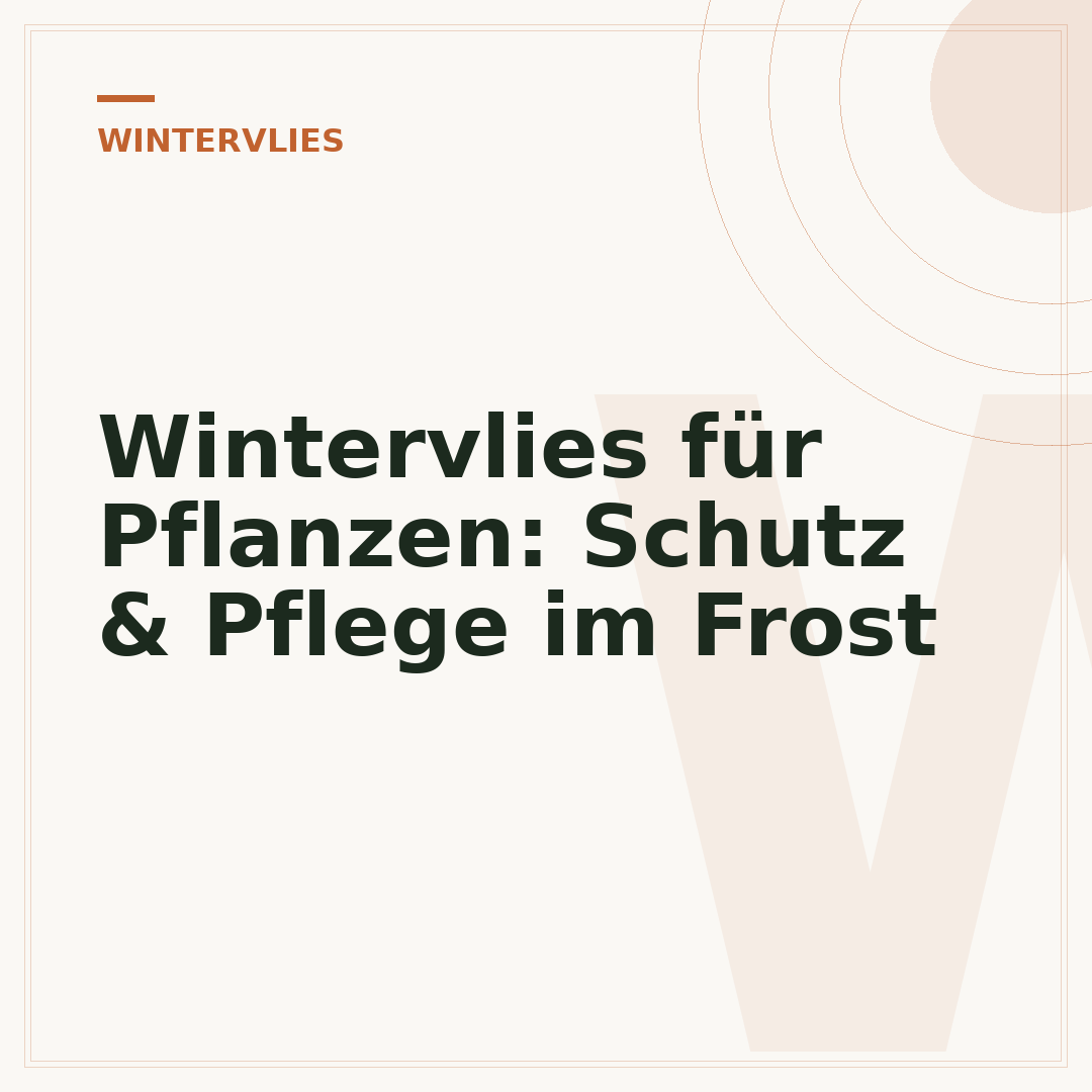 Wintervlies für Pflanzen: Schutz & Pflege im Frost