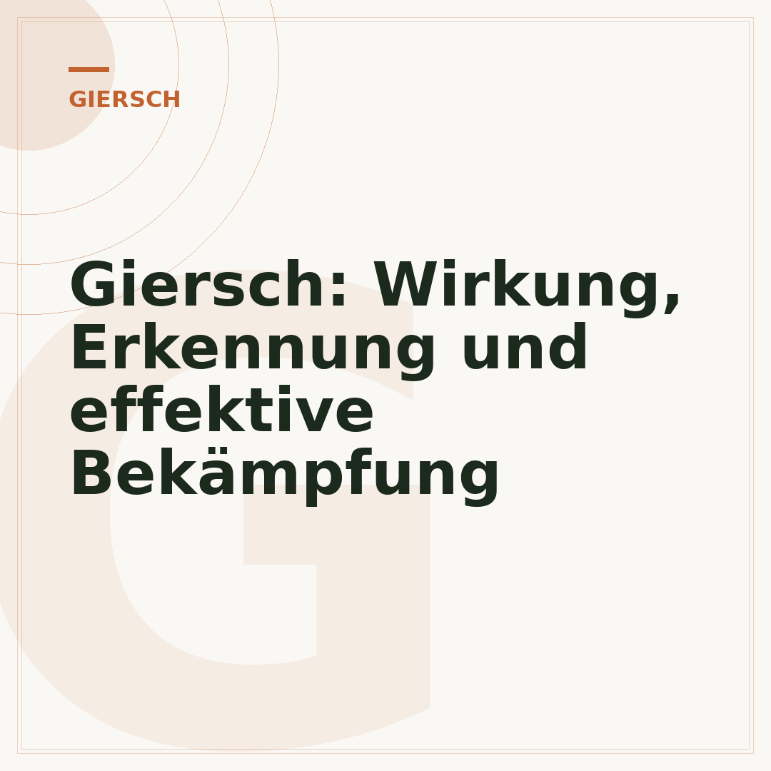 Giersch: Wirkung, Erkennung und effektive Bekämpfung