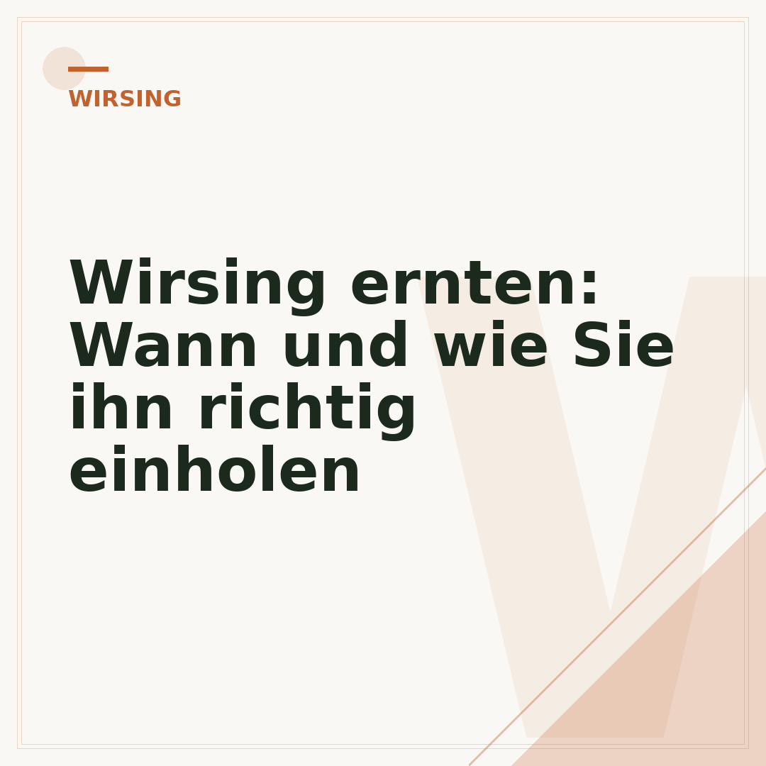 Wirsing ernten: Wann und wie Sie ihn richtig einholen