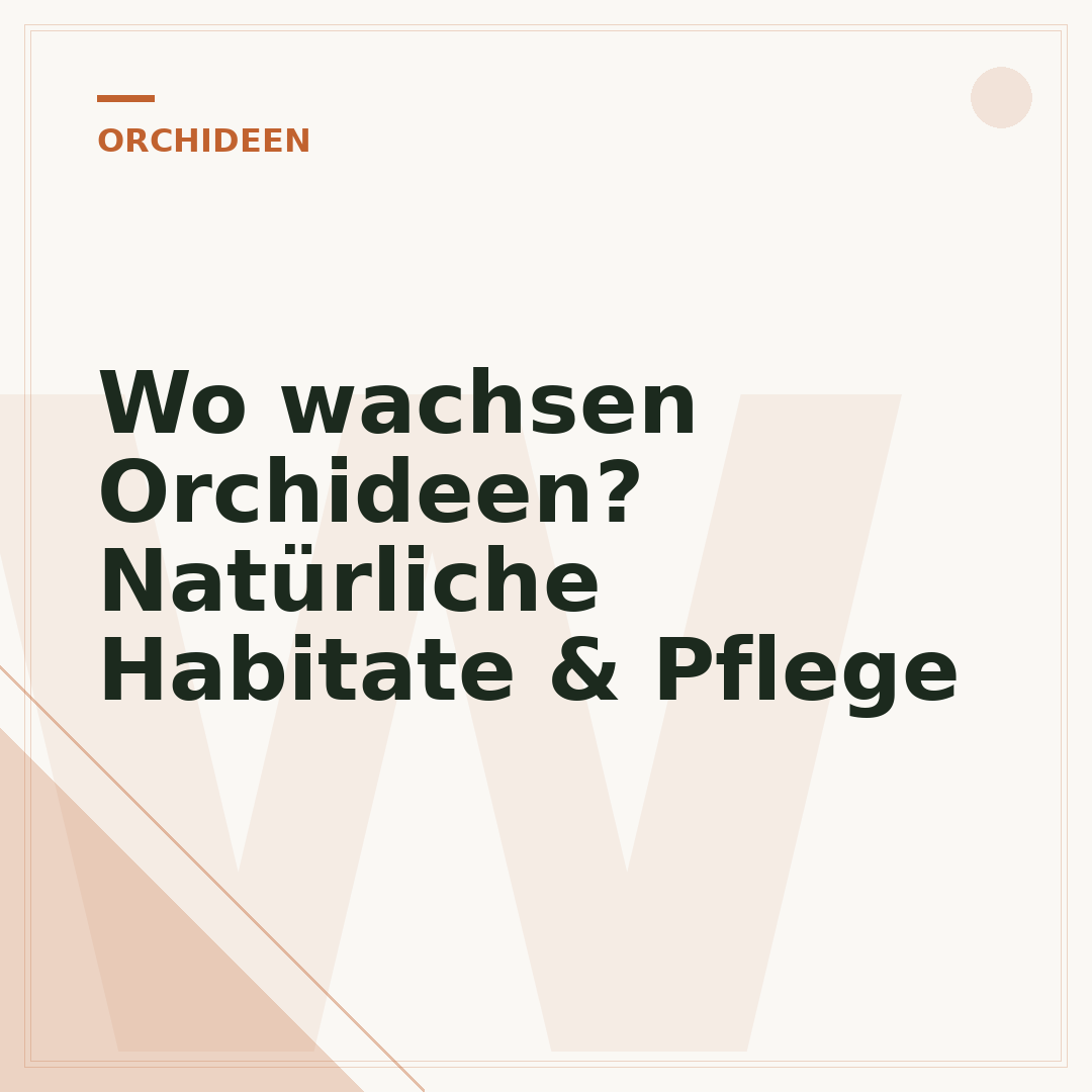 Wo wachsen Orchideen? Natürliche Habitate & Pflege