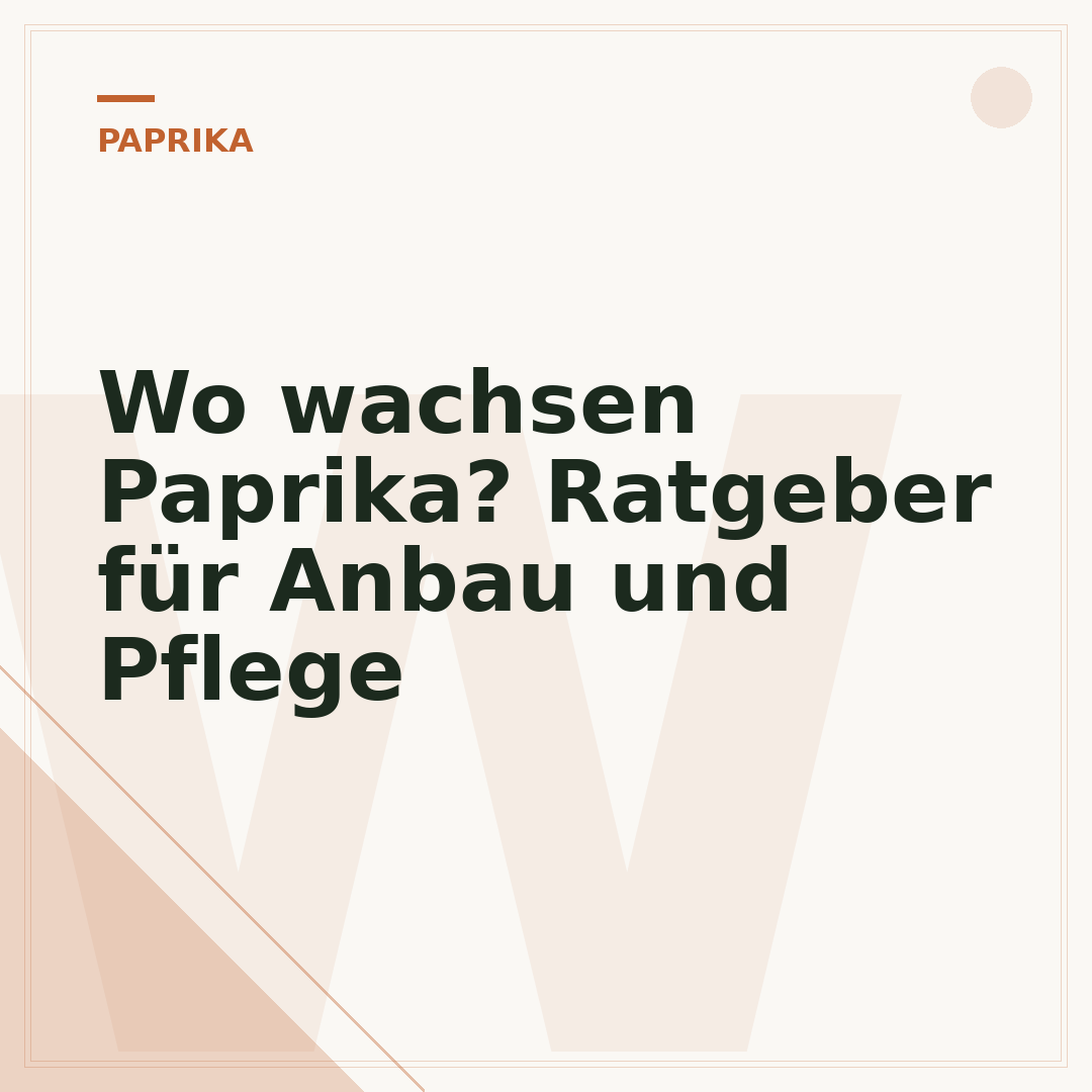 Wo wachsen Paprika? Ratgeber für Anbau und Pflege