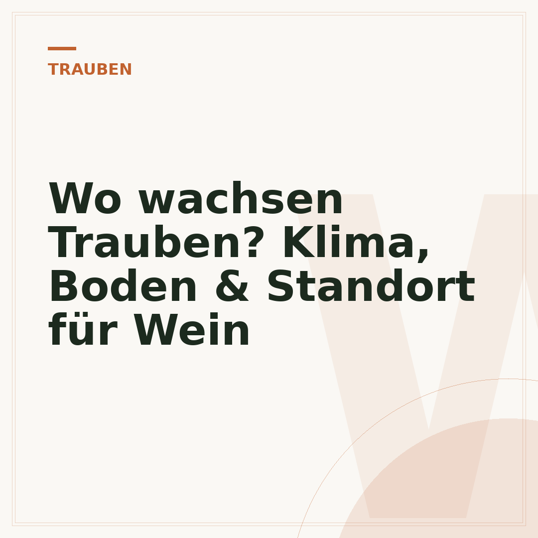 Wo wachsen Trauben? Klima, Boden & Standort für Wein
