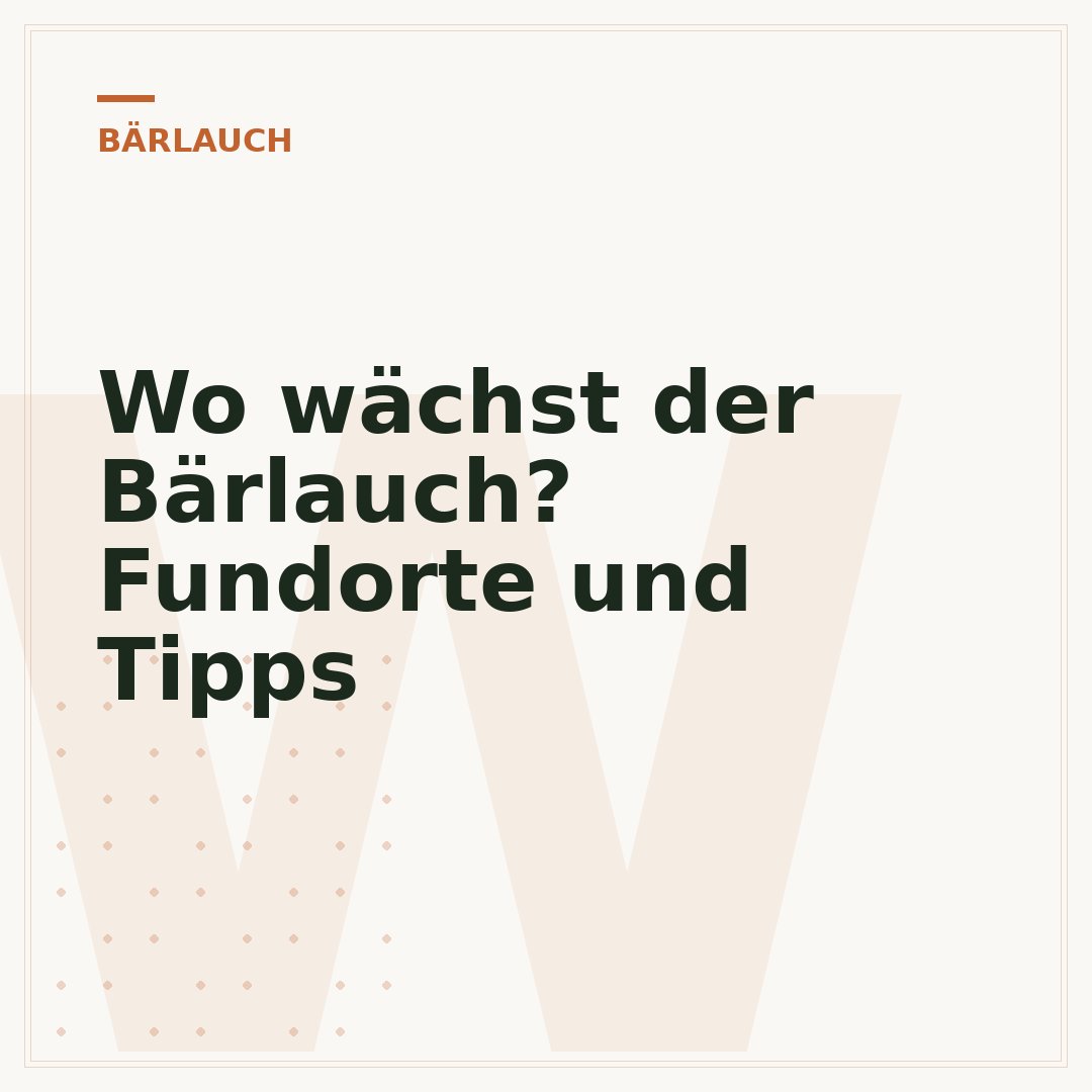Wo wächst der Bärlauch? Fundorte und Tipps