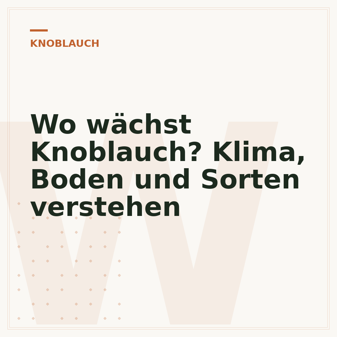 Wo wächst Knoblauch? Klima, Boden und Sorten verstehen