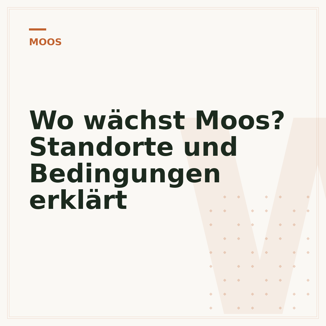 Wo wächst Moos? Standorte und Bedingungen erklärt
