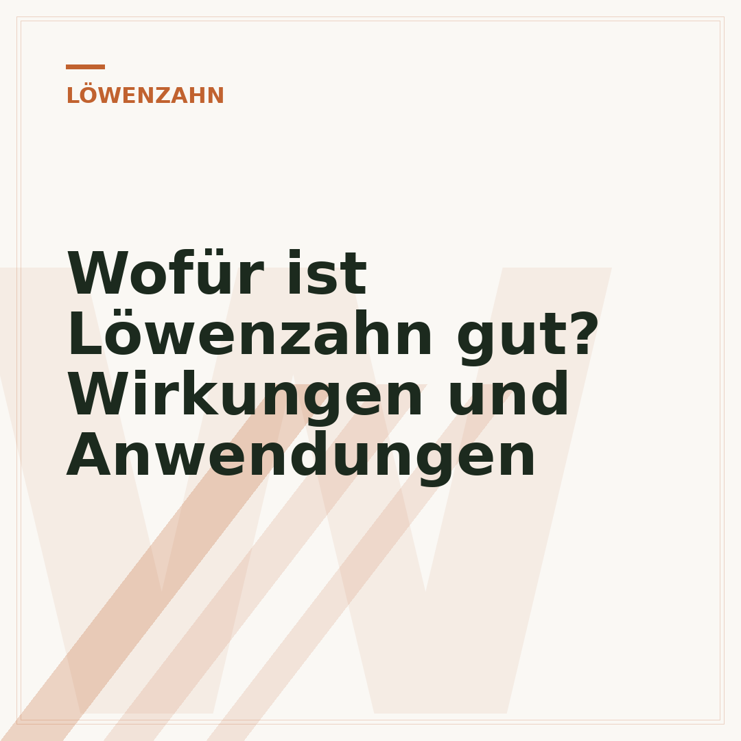 Wofür ist Löwenzahn gut? Wirkungen und Anwendungen