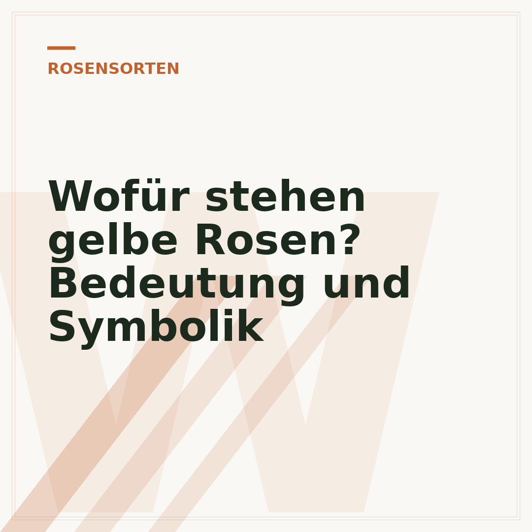 Wofür stehen gelbe Rosen? Bedeutung und Symbolik