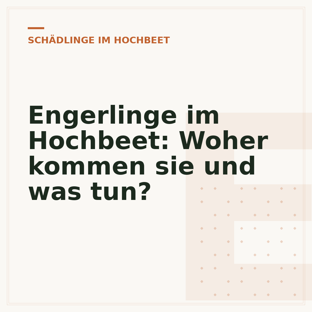 Engerlinge im Hochbeet: Woher kommen sie und was tun?