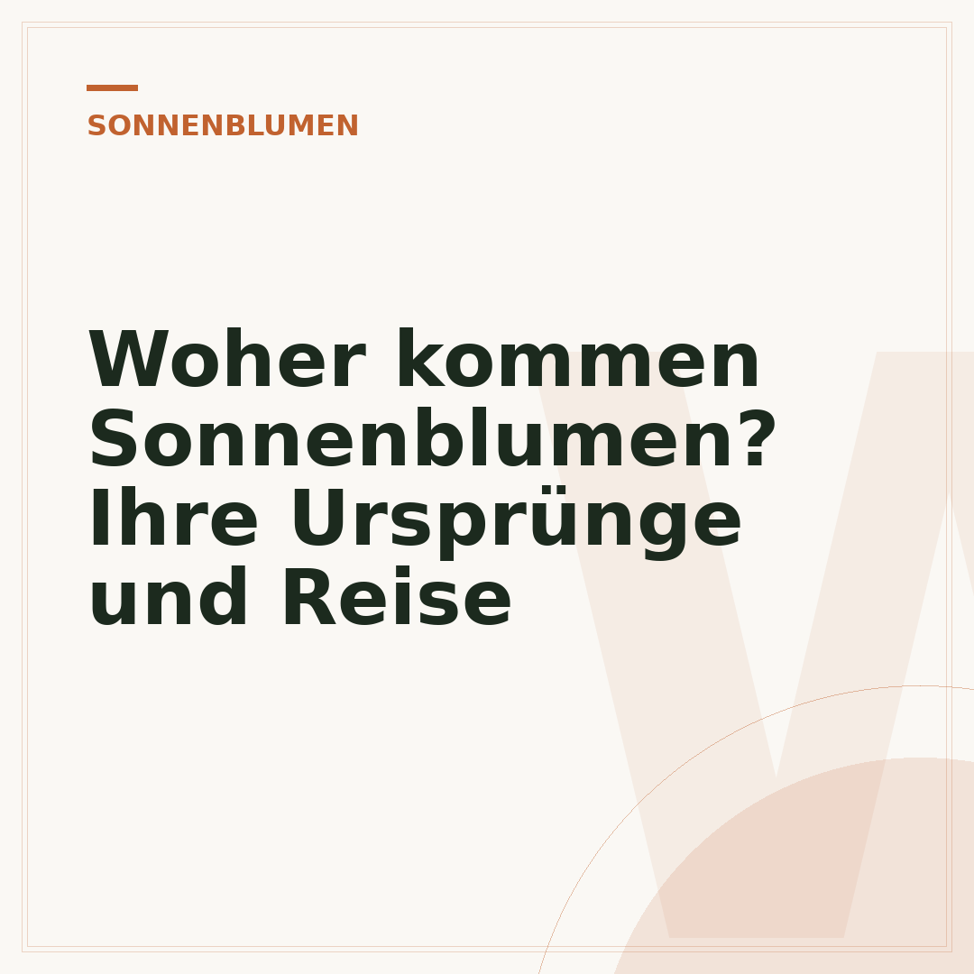 Woher kommen Sonnenblumen? Ihre Ursprünge und Reise