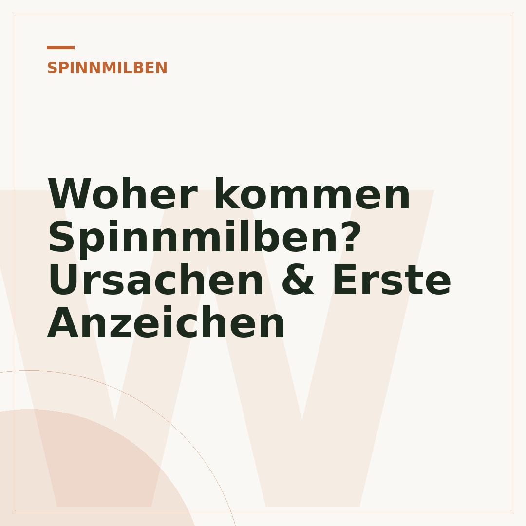 Woher kommen Spinnmilben? Ursachen & Erste Anzeichen