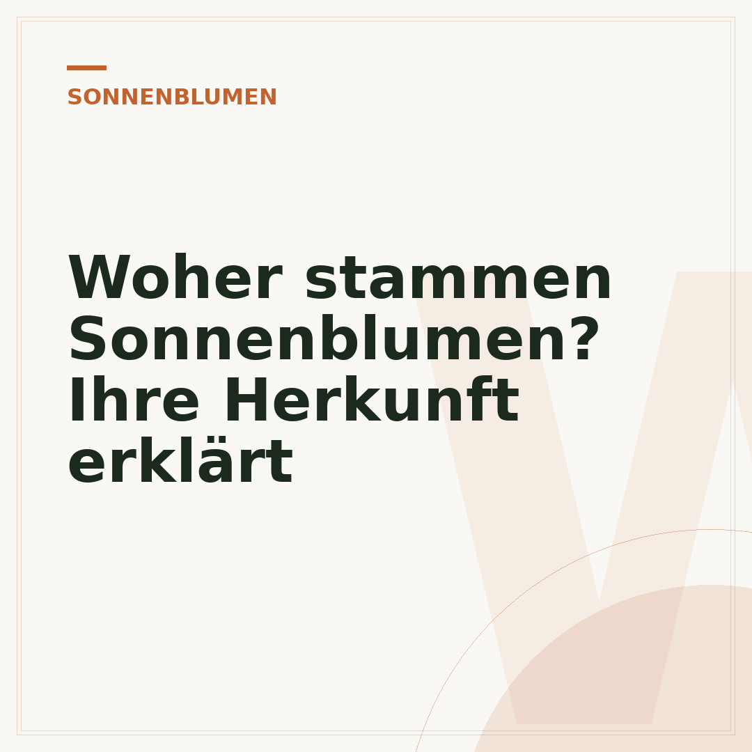 Woher stammen Sonnenblumen? Ihre Herkunft erklärt