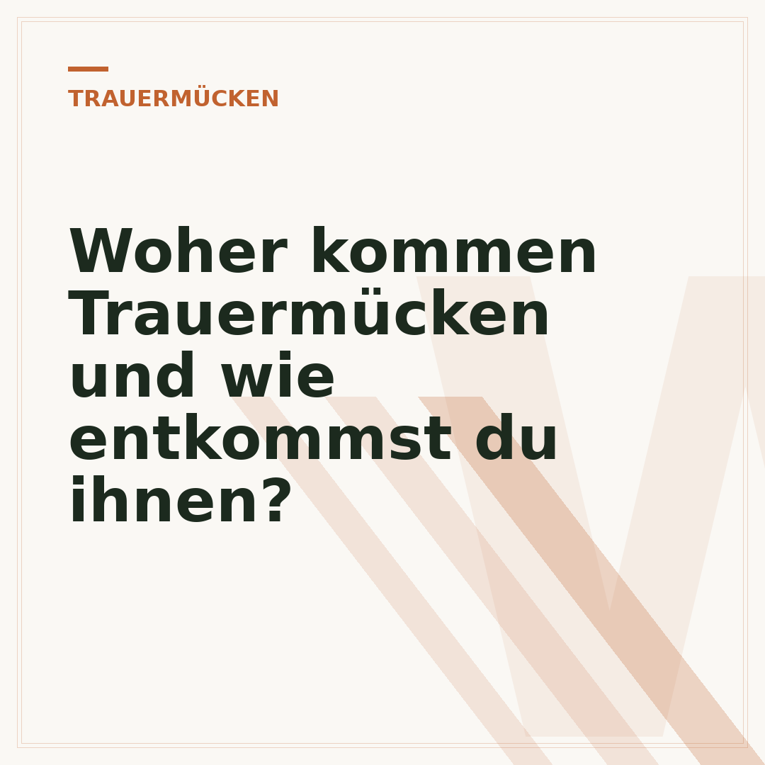 Woher kommen Trauermücken und wie entkommst du ihnen?