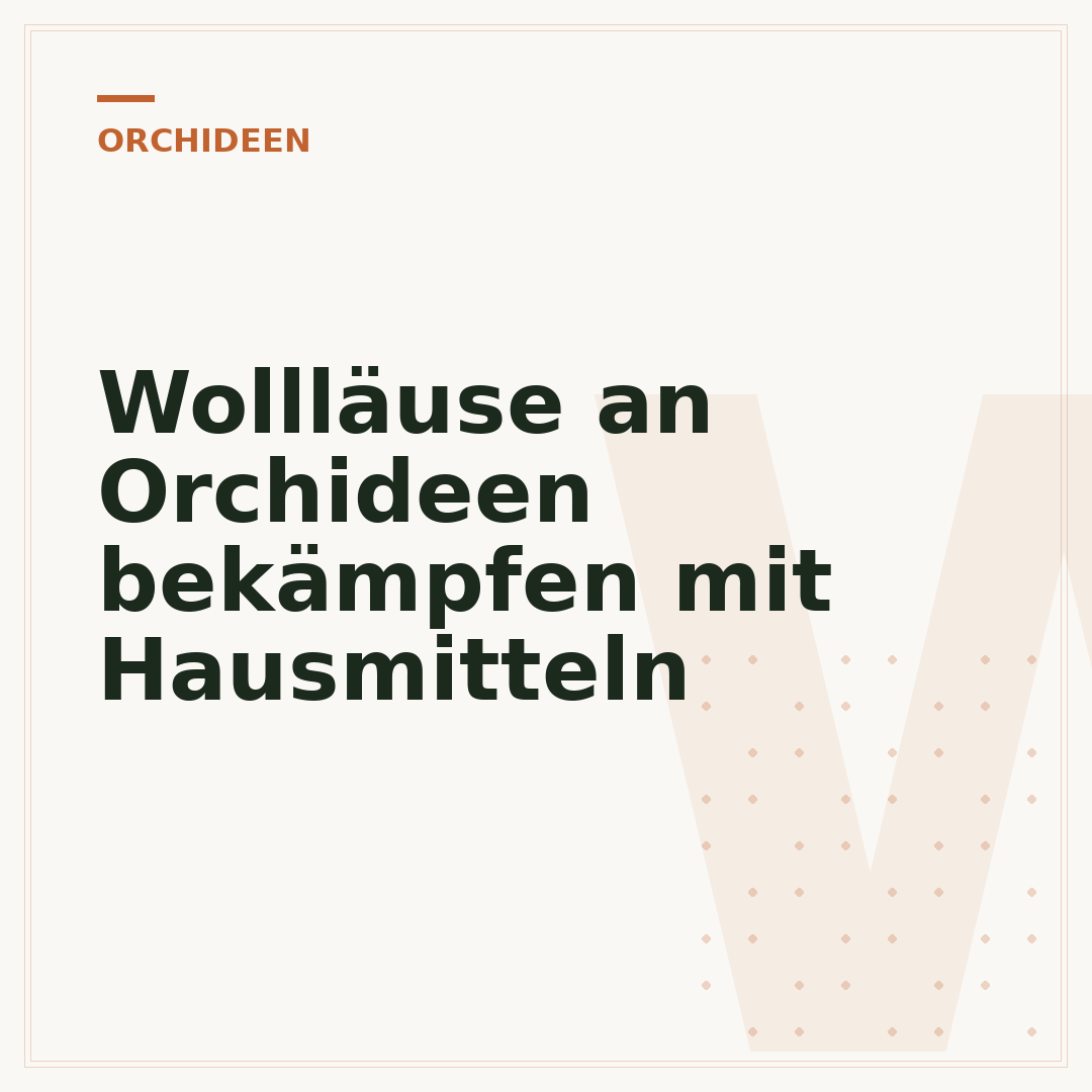 Wollläuse an Orchideen bekämpfen mit Hausmitteln