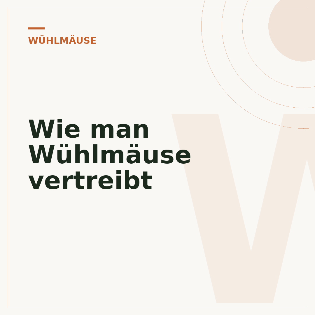 Wie man Wühlmäuse vertreibt